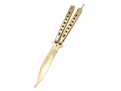 Benchmade tréningový motýlik X20 Gold (1)