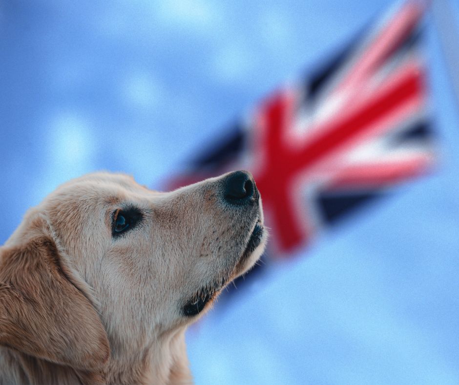 Základní slovní zásoba pro WT a FT