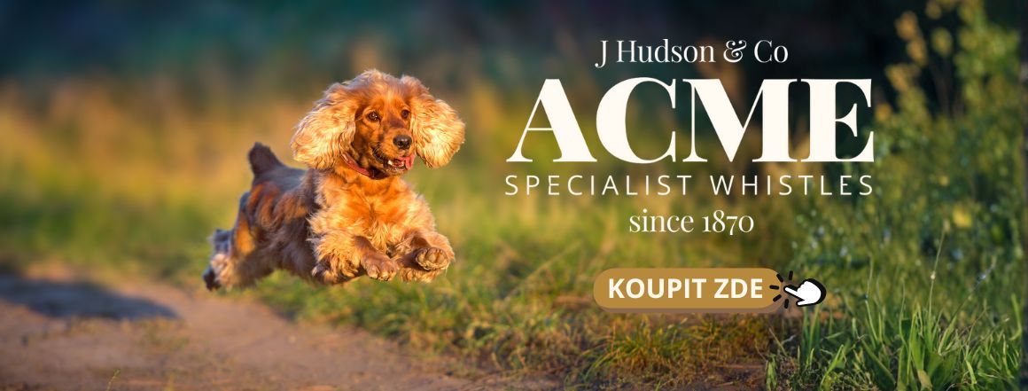 ACME ALPHA