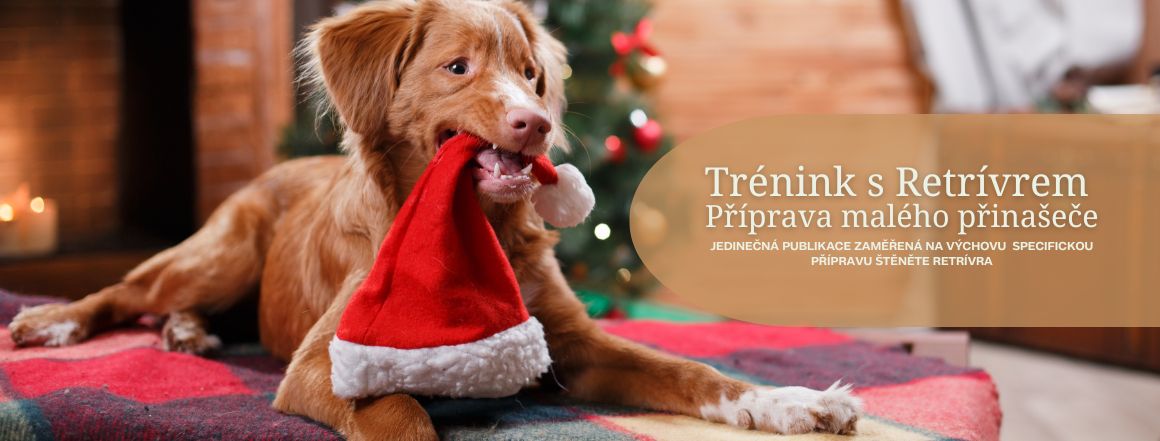 Trénink s Retrívrem - Příprava malého přinašeče