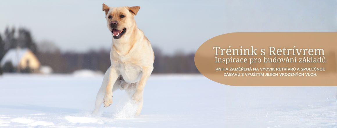 Trénink s Retrívrem - Inspirace pro budování základů