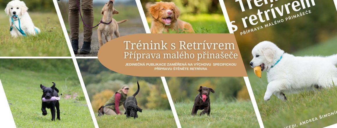 Trénink s Retrívrem - Příprava malého přinašeče