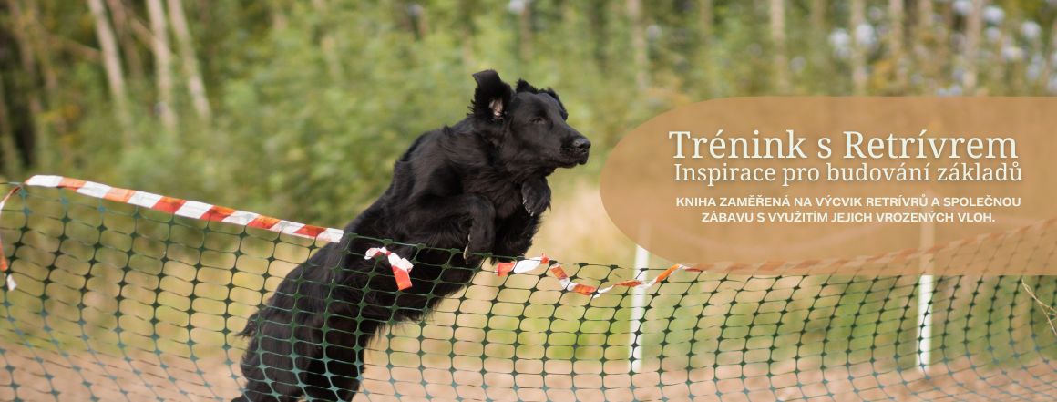 Trénink s Retrívrem - Inspirace pro budování základů