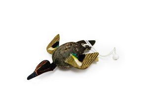 TEAL Dead BIrd Dummy