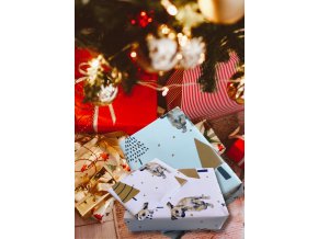 Vánoční papír (3)