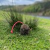 Long Throw Rabbit Ball 1