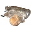 group tails small 1 1