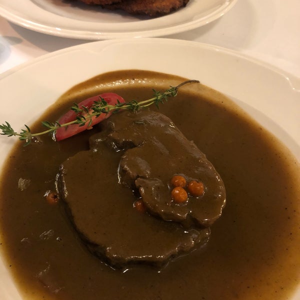 Divočák v rybízovinné omáčce s knedlíkem