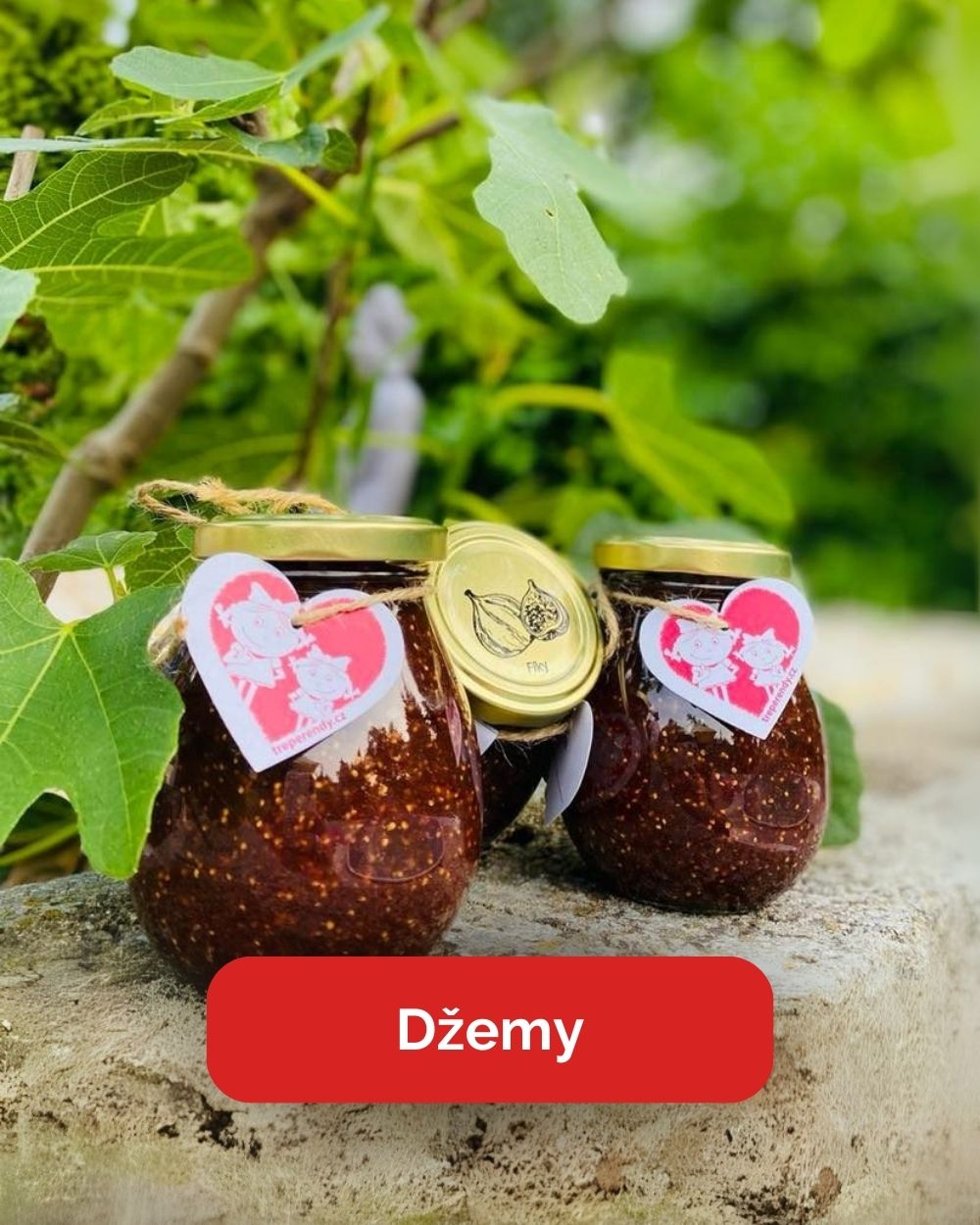 Džemy