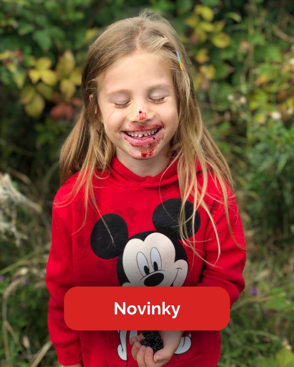 Novinky