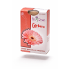 Gerbera eshop