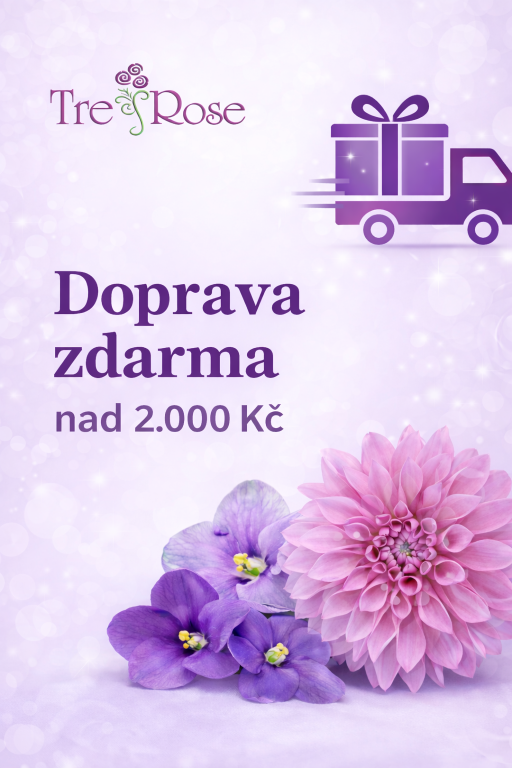 Doprava zdarma