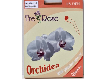 Orchidea