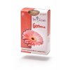 Gerbera eshop