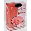 Gerbera