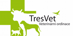                                     MVDr. Magdalena Hlavsová
                            