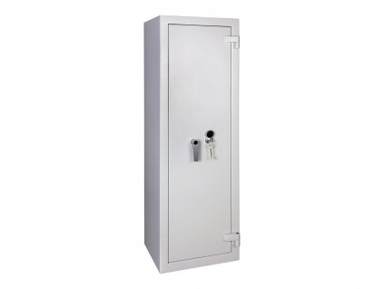 TZN 6 0 S RAL 7035