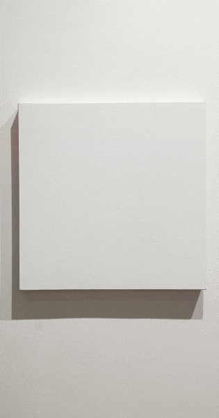 Jak funguje magnetický obraz