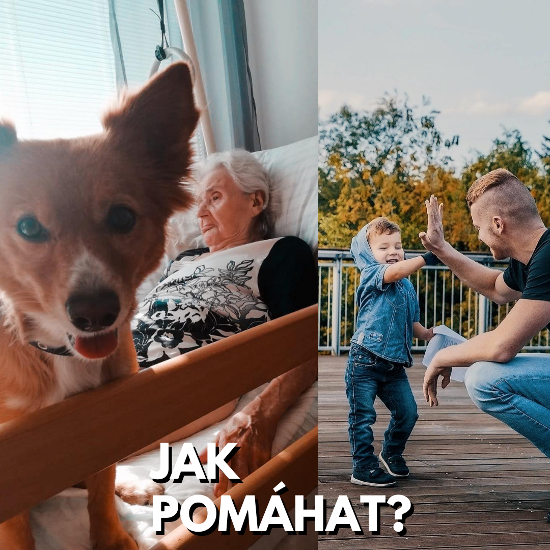 Jak pomáhat