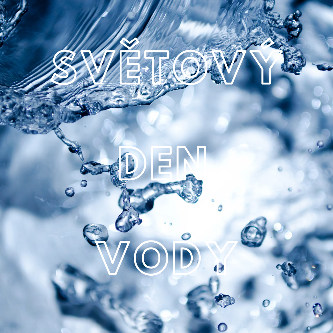 Světový den vody