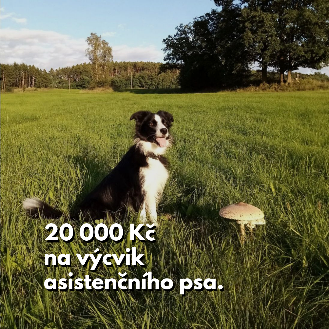 Výcvik asistenčního psa jménem Sendy pro Michala