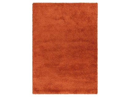 Cocoo Orange (7)