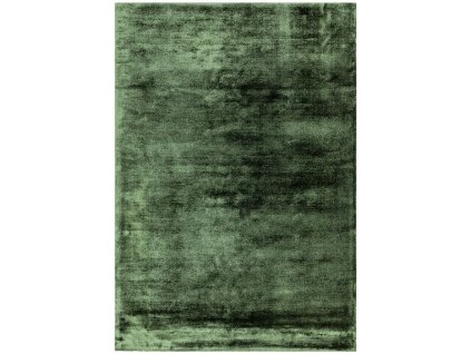 Moderní jednobarevný kusový koberec Jethro Green