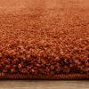 Cocoo Orange (6)