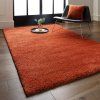 Cocoo Orange (1)
