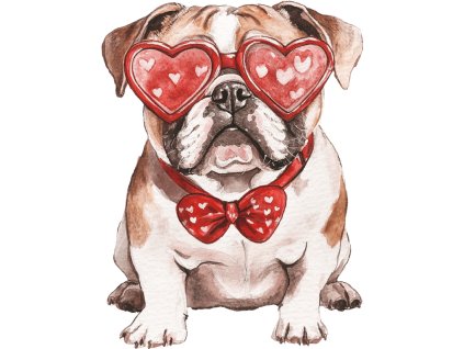 Nažehlovačka Anglický bulldog brýle srdce (ROZMĚRY velikost 6 cm)