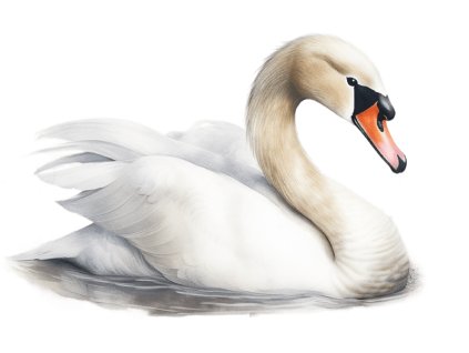 Nažehlovačka Labuť bílá (ROZMĚRY velikost 12 cm)