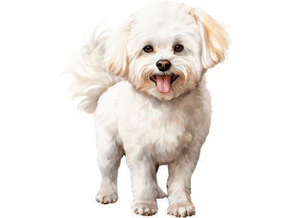 Nažehlovačka Bišonek (ROZMĚRY velikost 20 cm)