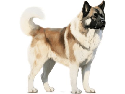 Nažehlovačka Americká akita (ROZMĚRY velikost 12 cm)