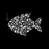 Fishhhh