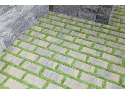 Dlažba vegetační BEST AKVABELIS 270x120x80mm standard colormix etna