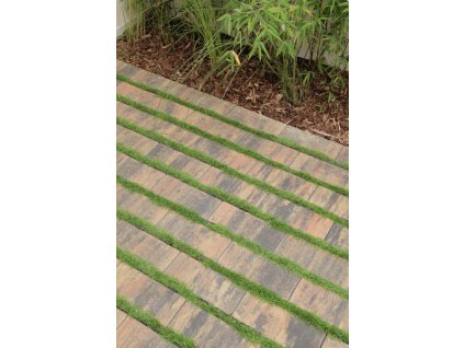 Dlažba vegetační BEST AKVALINES 120x300x80mm standard colormix etna