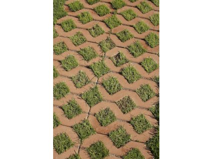 Dlažba vegetační BEST VEGA 400x600x100mm standard karamel