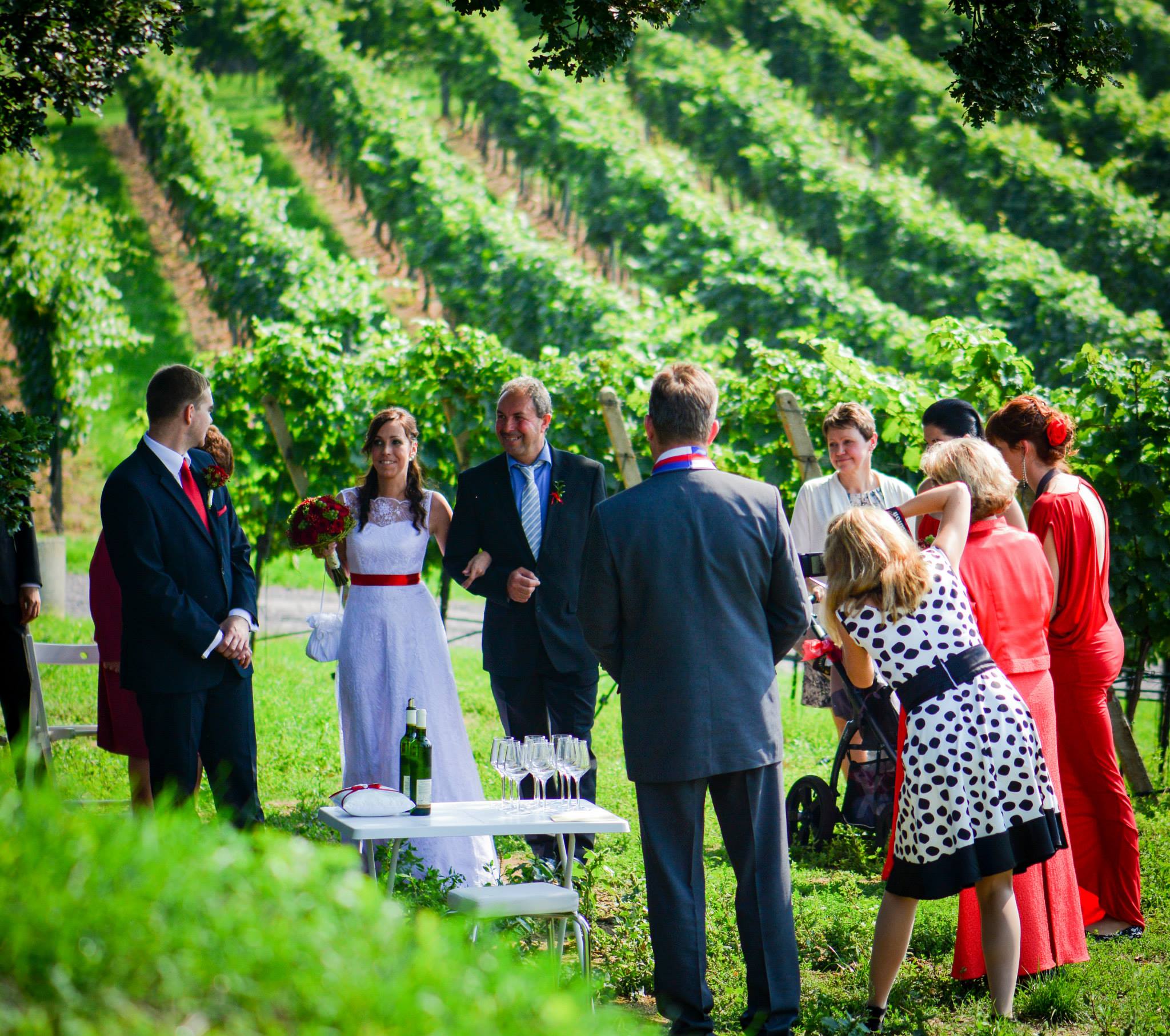 Svatby U tří dubů