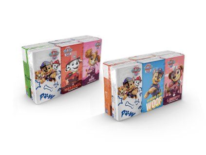 PAW HS 001307