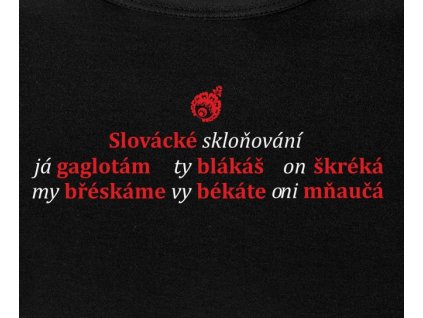 sklonovani detail