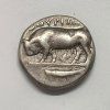 Lucania-Thourioi Stater