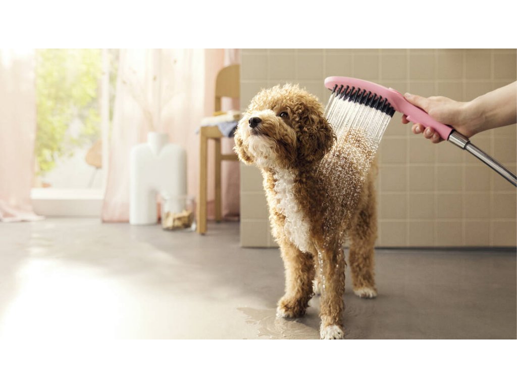 Sprcha pro psy HANSGROHE DOGSHOWER