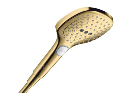 Raidance select E 120 ruční sprcha, vzhled zlata