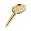 Raidance select S 120 3JET ruční sprcha, vzhled zlata