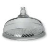 Sprcha hlavová Raf S008 157 mm