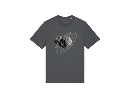 Asteroid Anthracite C253