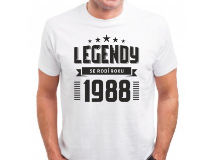 Pánské tričko zrození legendy rok narození bílé k narozeninám
