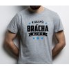 Tričko nejlepší brácha na světě STAR šedé