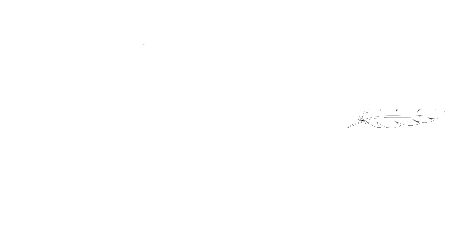 Triky by Niky