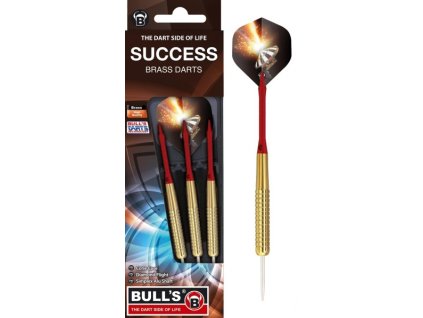bulls success steeldart i 5096